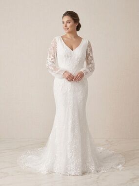 Elegant V-Neck Long Sleeve Light Ivory Wedding Dress
